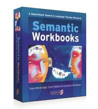 bokomslag Semantic Workbooks