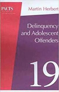bokomslag Delinquency and Young Offenders