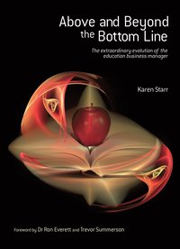 bokomslag Above and Beyond the Bottom Line
