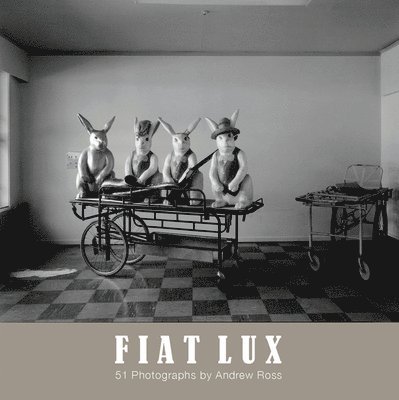Andrew Ross - Fiat Lux, Häftad