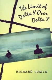 bokomslag The Limit of Delta Y Over Delta X