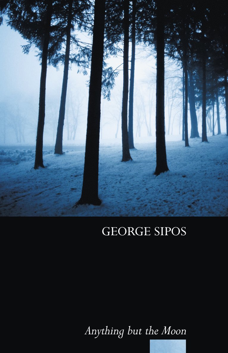 Anything but the Moon