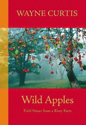 bokomslag Wild Apples