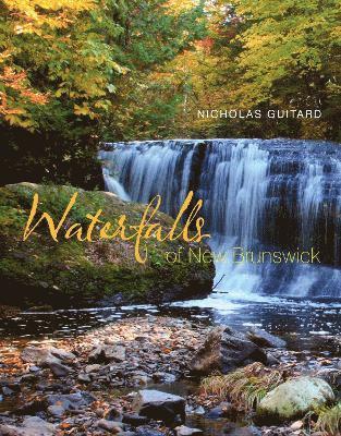 Waterfalls of New Brunswick 1