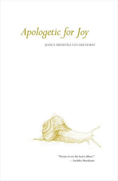 bokomslag Apologetic for Joy