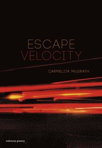 bokomslag Escape Velocity