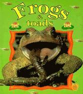 Frogs and Toads