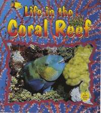 bokomslag Life in the Coral Reef
