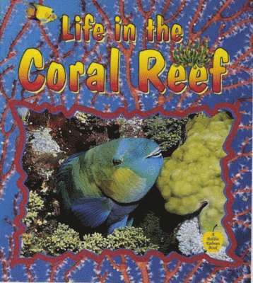 Niki Walker, Bobbie Kalman - Life in the Coral Reef, Häftad