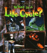 What is a Life Cycle? 1