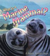 bokomslag What Is A Marine Mammal
