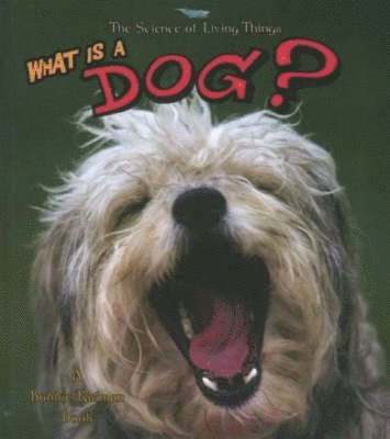 bokomslag What Is a Dog
