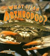What is an Arthropod