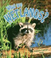 bokomslag What Are Wetlands