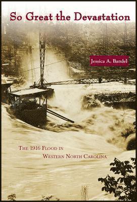 bokomslag So Great the Devastation: The 1916 Flood in Western North Carolina