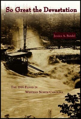 Jessica A Bandel, Jessica A. Bandel - So Great the Devastation, Häftad