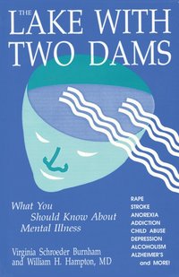bokomslag The Lake With Two Dams