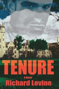 bokomslag Tenure