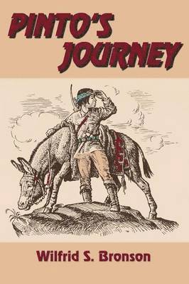 Pinto's Journey 1