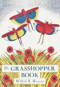 bokomslag Grasshopper Book