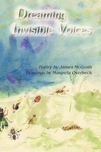 bokomslag Dreaming Invisible Voices