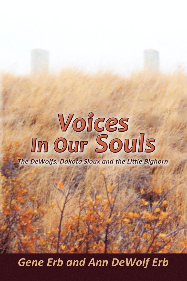 Voices in Our Souls 1