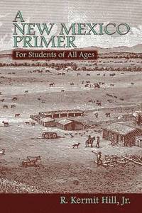 bokomslag A New Mexico Primer