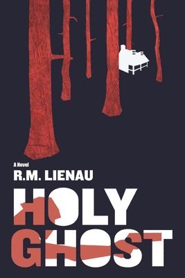 bokomslag Holy Ghost