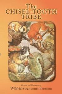 bokomslag The Chisel-Tooth Tribe