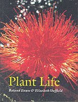 bokomslag Plant Life