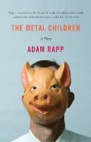 bokomslag The Metal Children