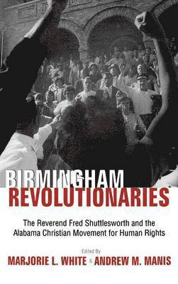 bokomslag Birmingham's Revolutionaries