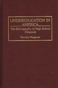 bokomslag Undereducation in America