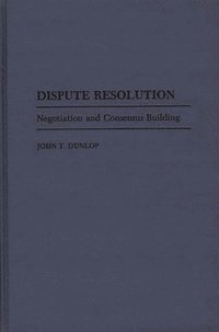 bokomslag Dispute Resolution