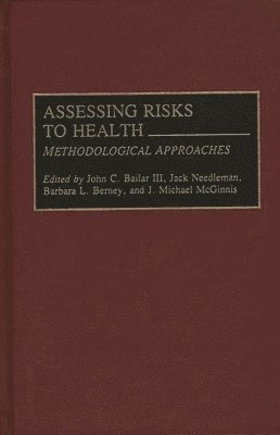 bokomslag Assessing Risks to Health