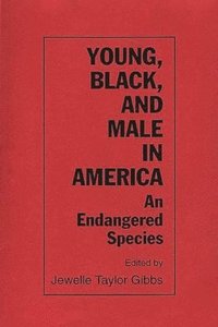 bokomslag Young, Black, and Male in America