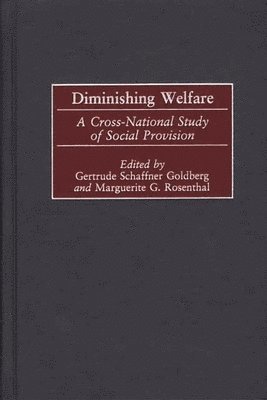 bokomslag Diminishing Welfare