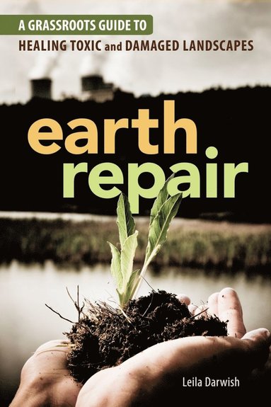 bokomslag Earth Repair