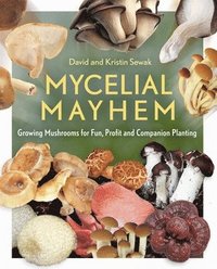 bokomslag Mycelial Mayhem