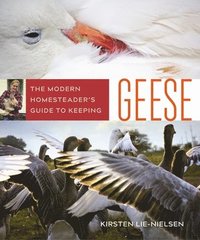 bokomslag The Modern Homesteader's Guide to Keeping Geese