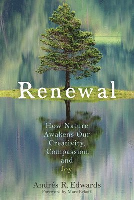 bokomslag Renewal