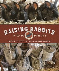 bokomslag Raising Rabbits for Meat