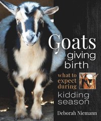 bokomslag Goats Giving Birth