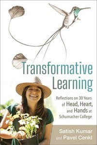 bokomslag Transformative Learning