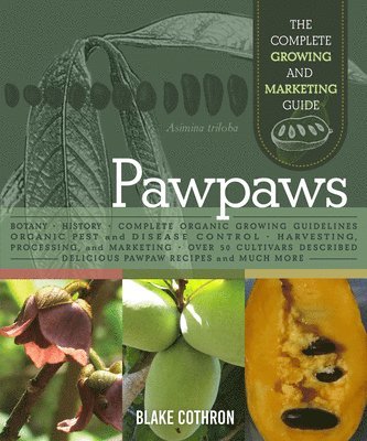 Pawpaws 1
