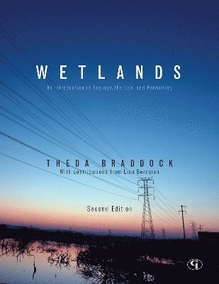 Theda Braddock, Lisa Berntsen - Wetlands, Häftad