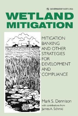 Wetland Mitigation 1