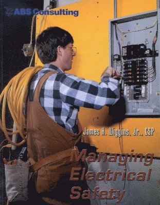 bokomslag Managing Electrical Safety