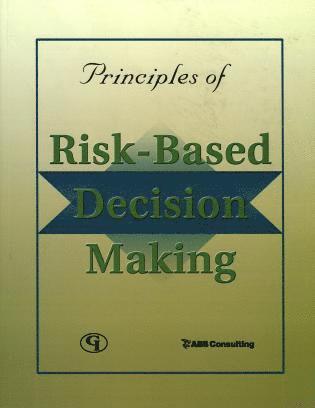 bokomslag Principles of Risk-Based Decision Making