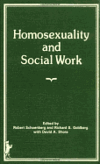 bokomslag Homosexuality and Social Work